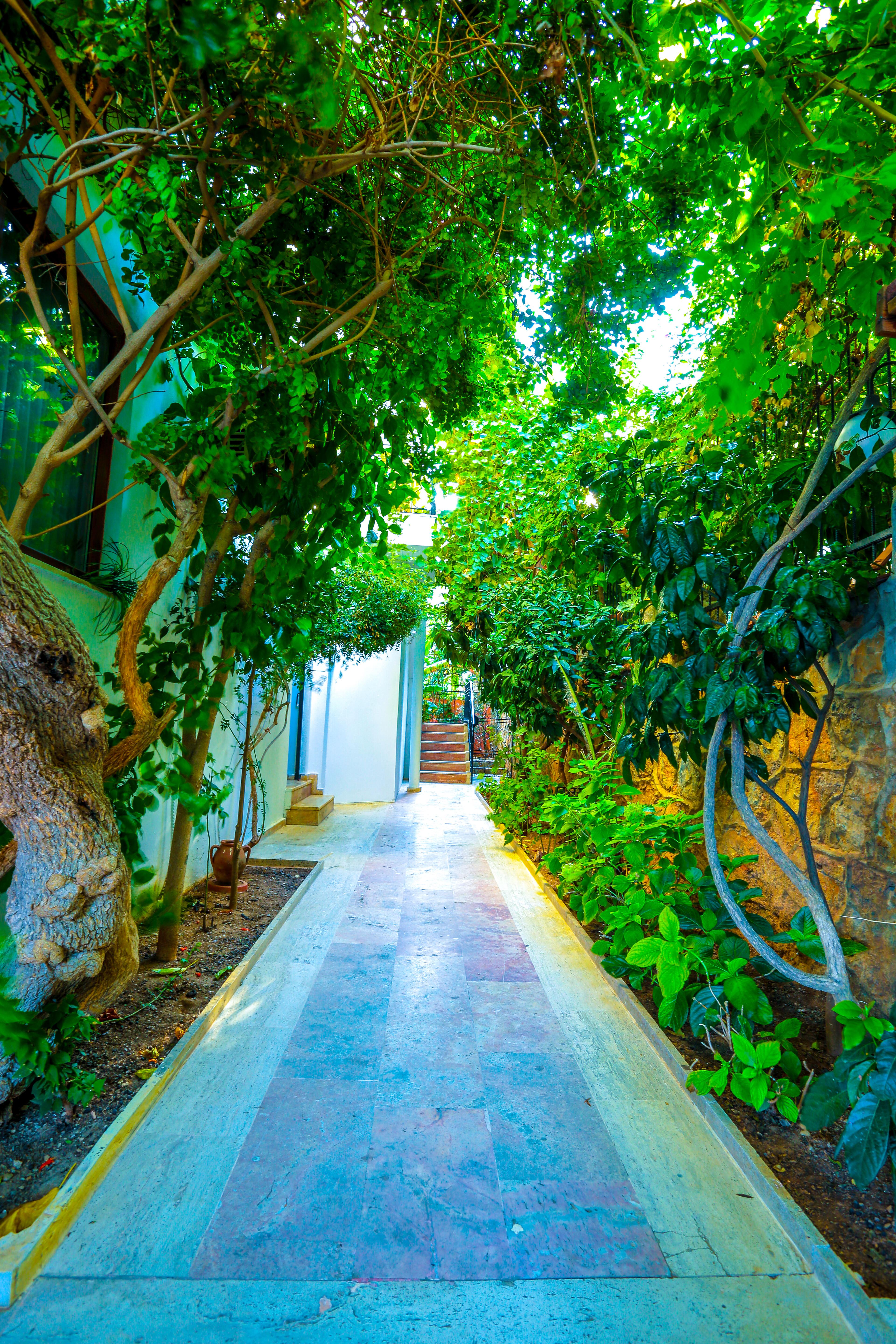 Villa Sonata Alanya Dış mekan fotoğraf